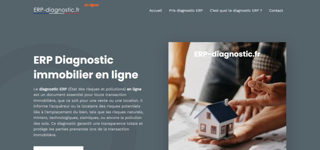 erp diagnostic, diagnostic erp, erp en ligne, diagnostic erp en ligne